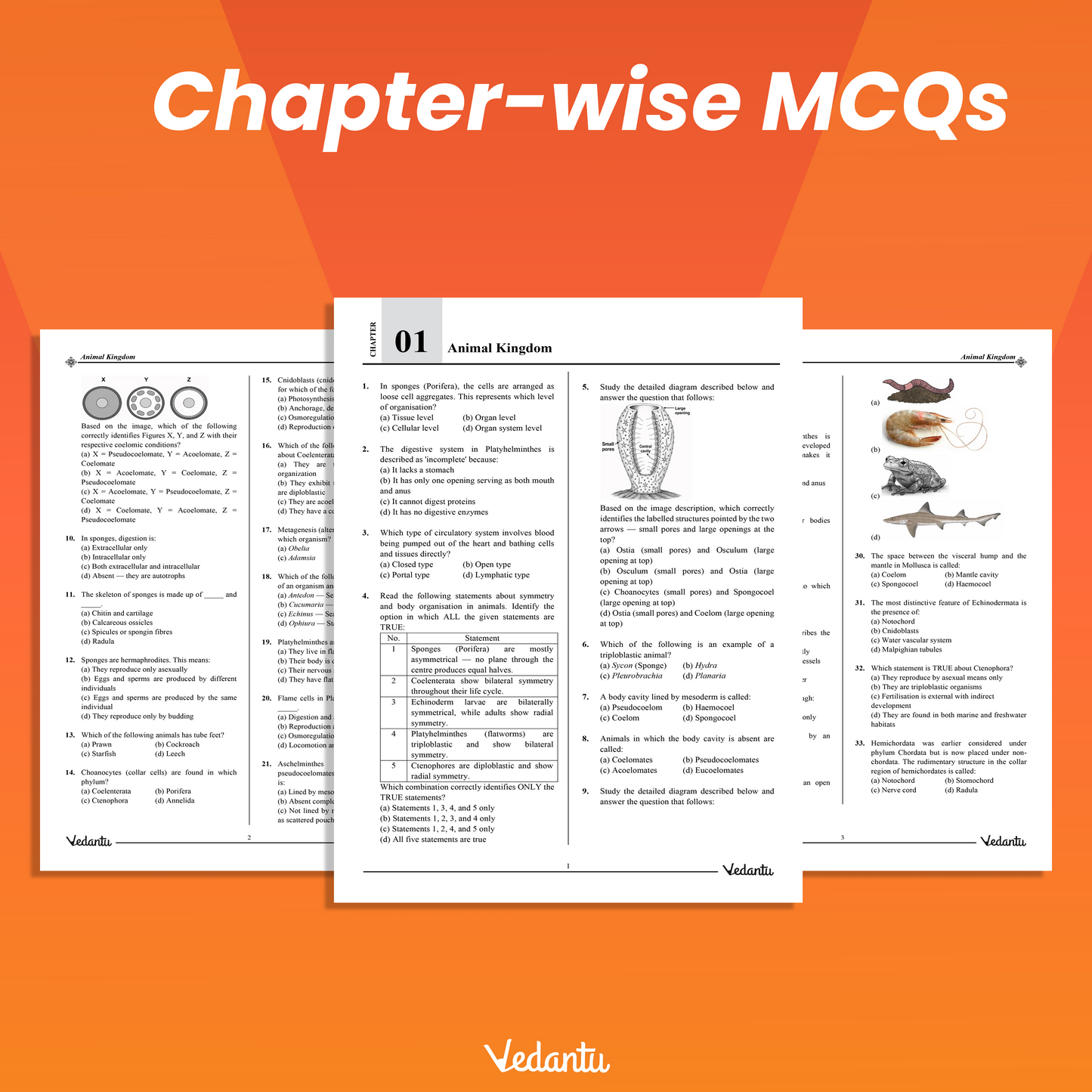 Vedantu DOPA NEET Zoology Daily Objective Practice Assignment Book | Chapter-Wise MCQs, Diagram-Based Questions and Answer Keys | Latest NEET Syllabus | For Class 11, Class 12 and Droppers