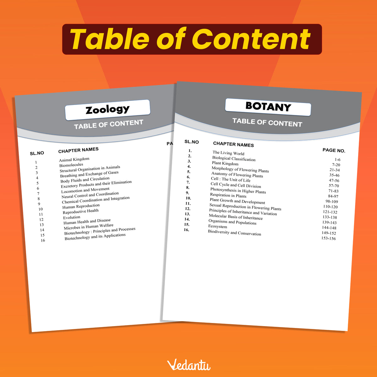 Vedantu DOPA NEET Biology Combo Book 2027 | Botany & Zoology Daily Objective Practice Assignment | Chapter-Wise MCQs, NCERT Based Questions, Diagram-Based Practice, Answer Keys & NEET 2027 Preparation | For Class 11, Class 12 & Droppers