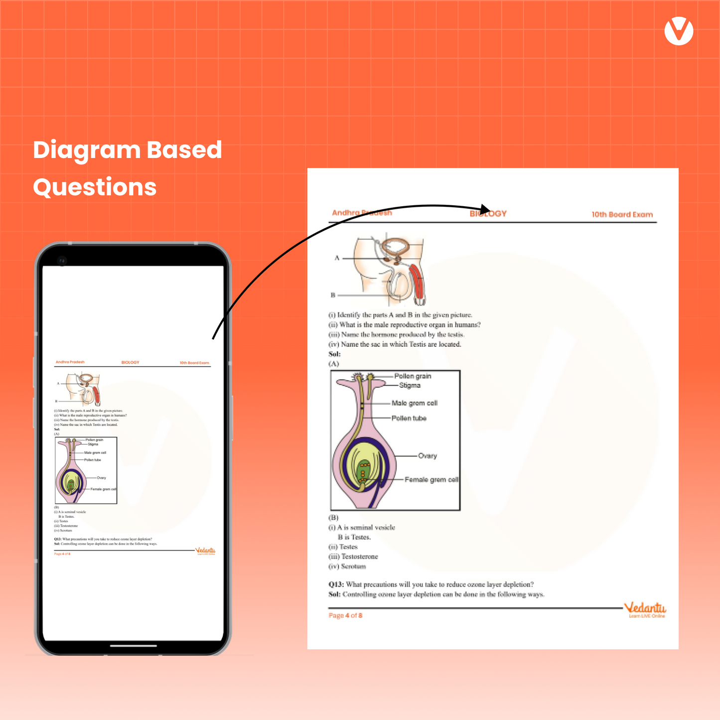 Digital Only – SSC Guess Papers 2026 | Telangana State | Pedagogy | 5 Model Papers with Solutions | Last 5 Years Questions | Important Short Notes | Blueprint Based | Exam Pattern & Weightage | Physical Science, Biology, SST, Maths | Class 10