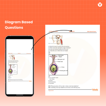 Digital Only – SSC Guess Papers 2026 | Telangana State | Pedagogy | 5 Model Papers with Solutions | Last 5 Years Questions | Important Short Notes | Blueprint Based | Exam Pattern & Weightage | Physical Science, Biology, SST, Maths | Class 10