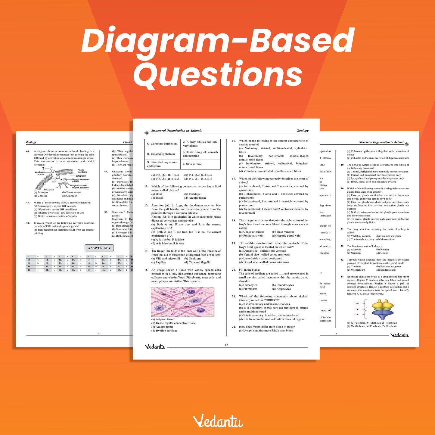 Vedantu DOPA NEET Zoology Daily Objective Practice Assignment Book | Chapter-Wise MCQs, Diagram-Based Questions and Answer Keys | Latest NEET Syllabus | For Class 11, Class 12 and Droppers