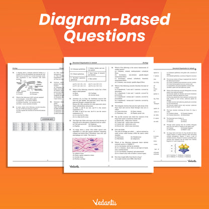 Vedantu DOPA NEET Zoology Daily Objective Practice Assignment Book | Chapter-Wise MCQs, Diagram-Based Questions and Answer Keys | Latest NEET Syllabus | For Class 11, Class 12 and Droppers