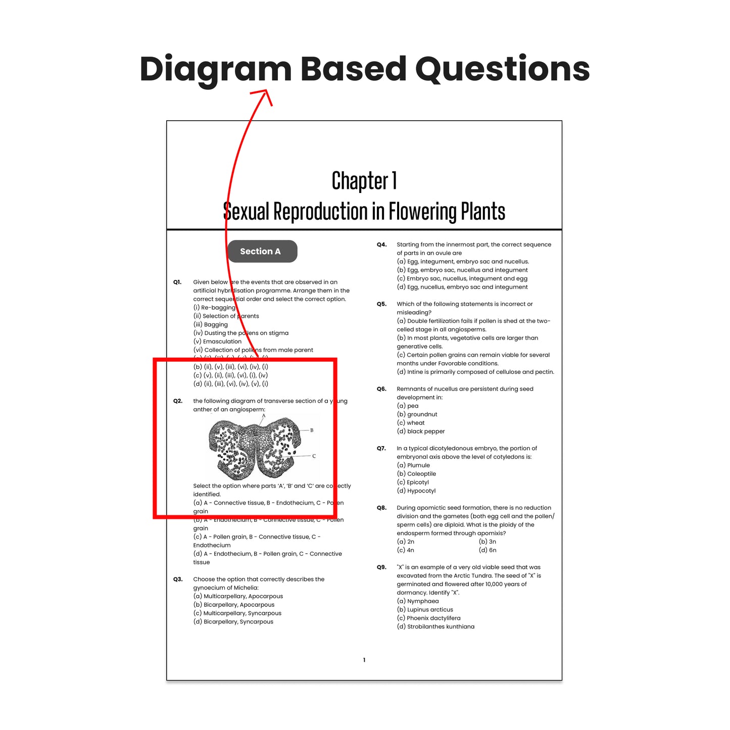 Vedantu Challenge 100 Biology Chapter-Wise PYQ Book for CBSE Class 12 by Shimon Joseph Sir | Latest NCERT & CBSE Pattern | Board Exam Practice with Solutions