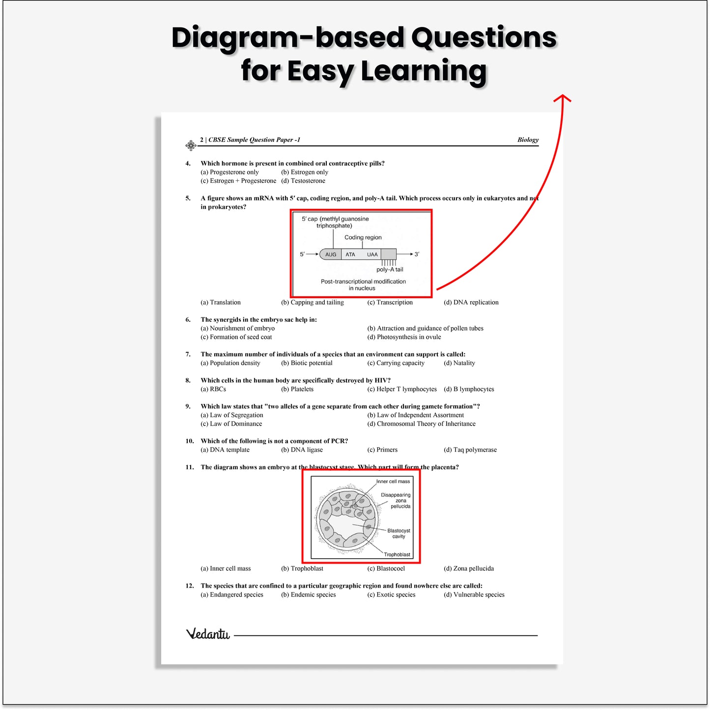 Vedantu CBSE Class 12 Biology Sample Paper Book 2026 Board Exam | 10 Solved Papers | MCQs, Assertion–Reason, Case Studies & Numerical | Based On Latest CBSE Pattern | Prepare with Confidence