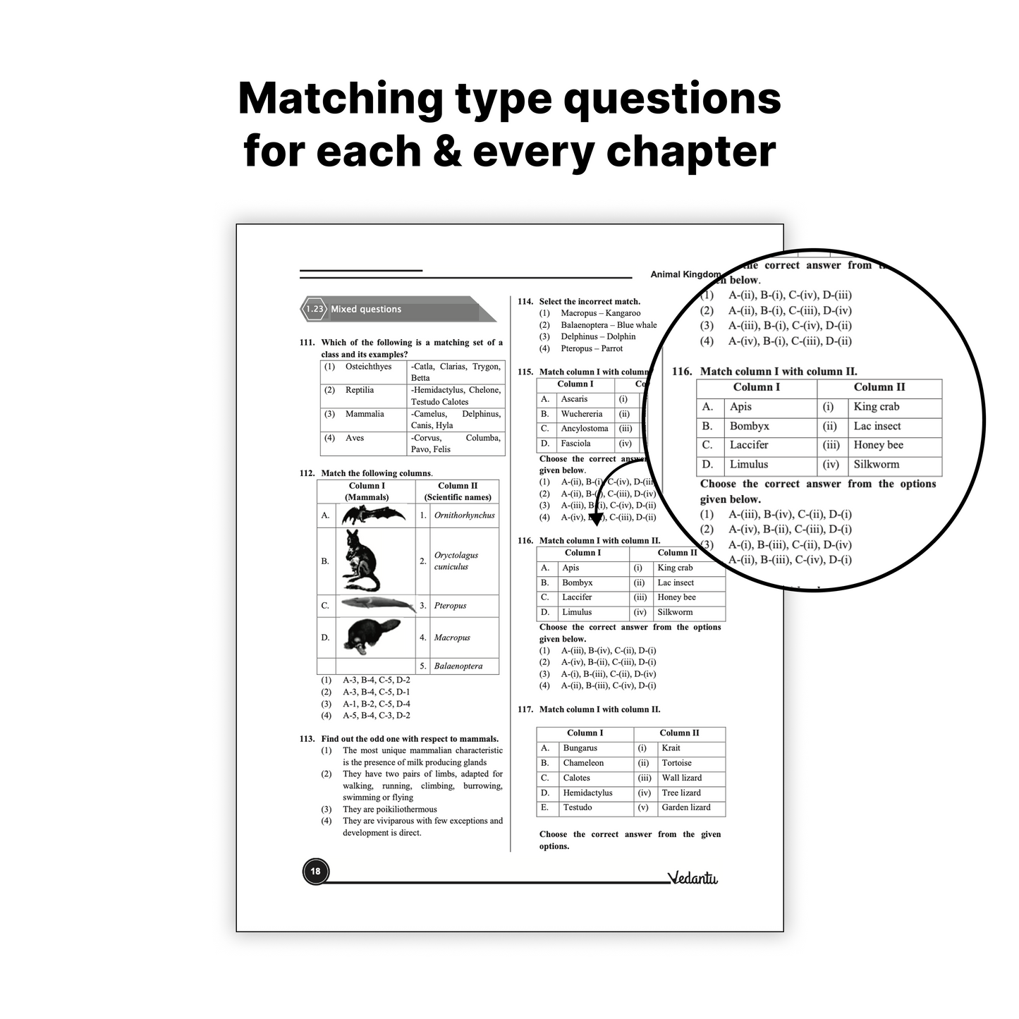 Vedantu NEET Advance Zoology Question Book | NEET-UG Medical Entrance Exam Book 2026, CUET & Olympiad Preparation Guide | NCERT Based Topicwise MCQs, Multi-Statement Question, Matching A/R & Diagram Based Practice