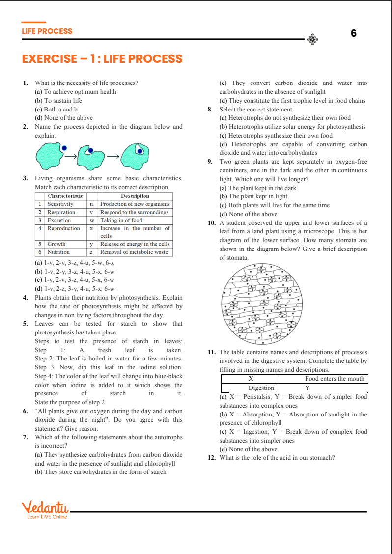 Vedantu Tatva Practice Book (Grade 10) - CBSE - Biology